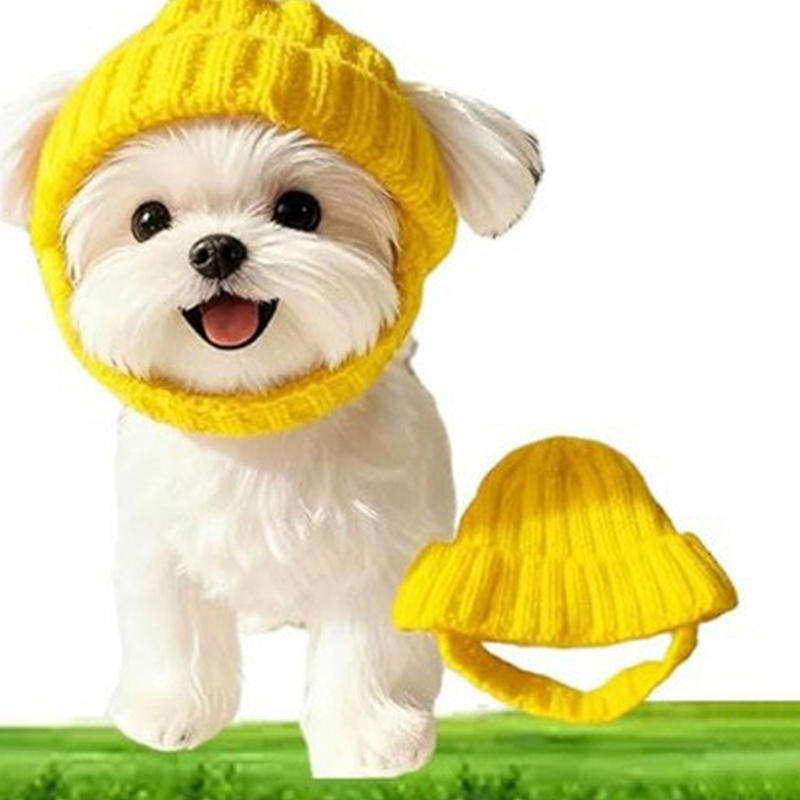 Cappello Beanie per Cani Malte - Winter Trapper Hat recensione e prezzo